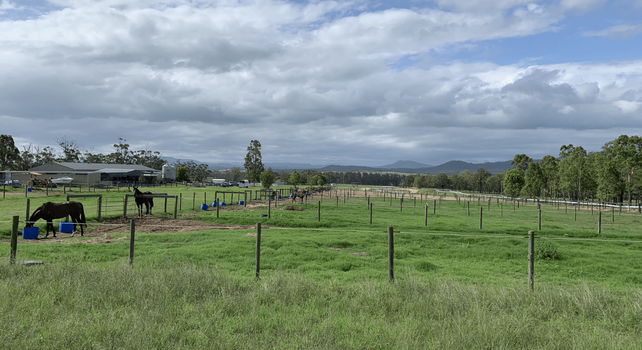 Picture of the author