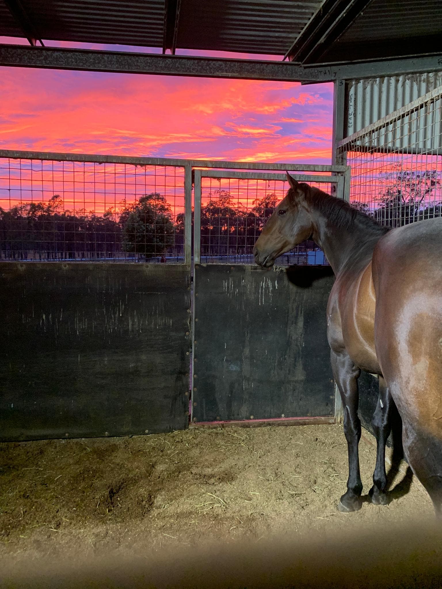 Picture of the author