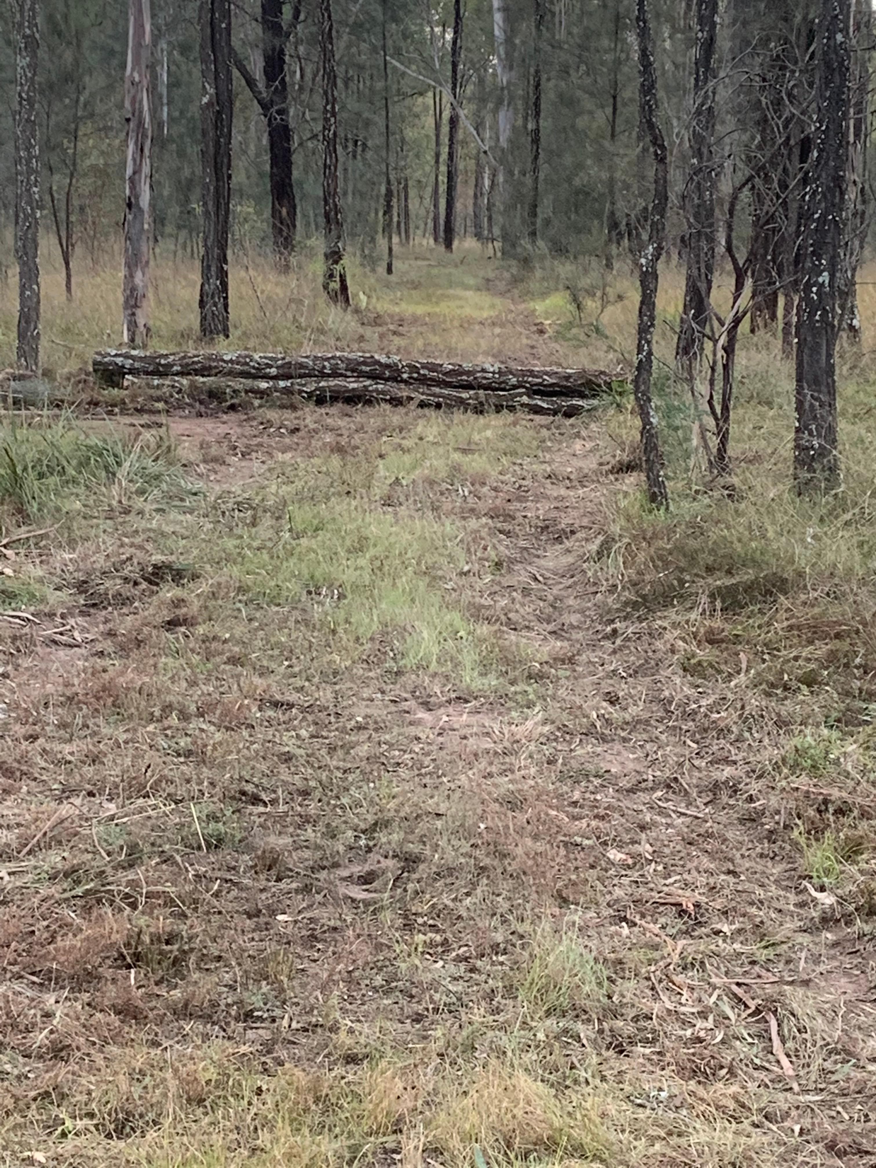 Picture of the author