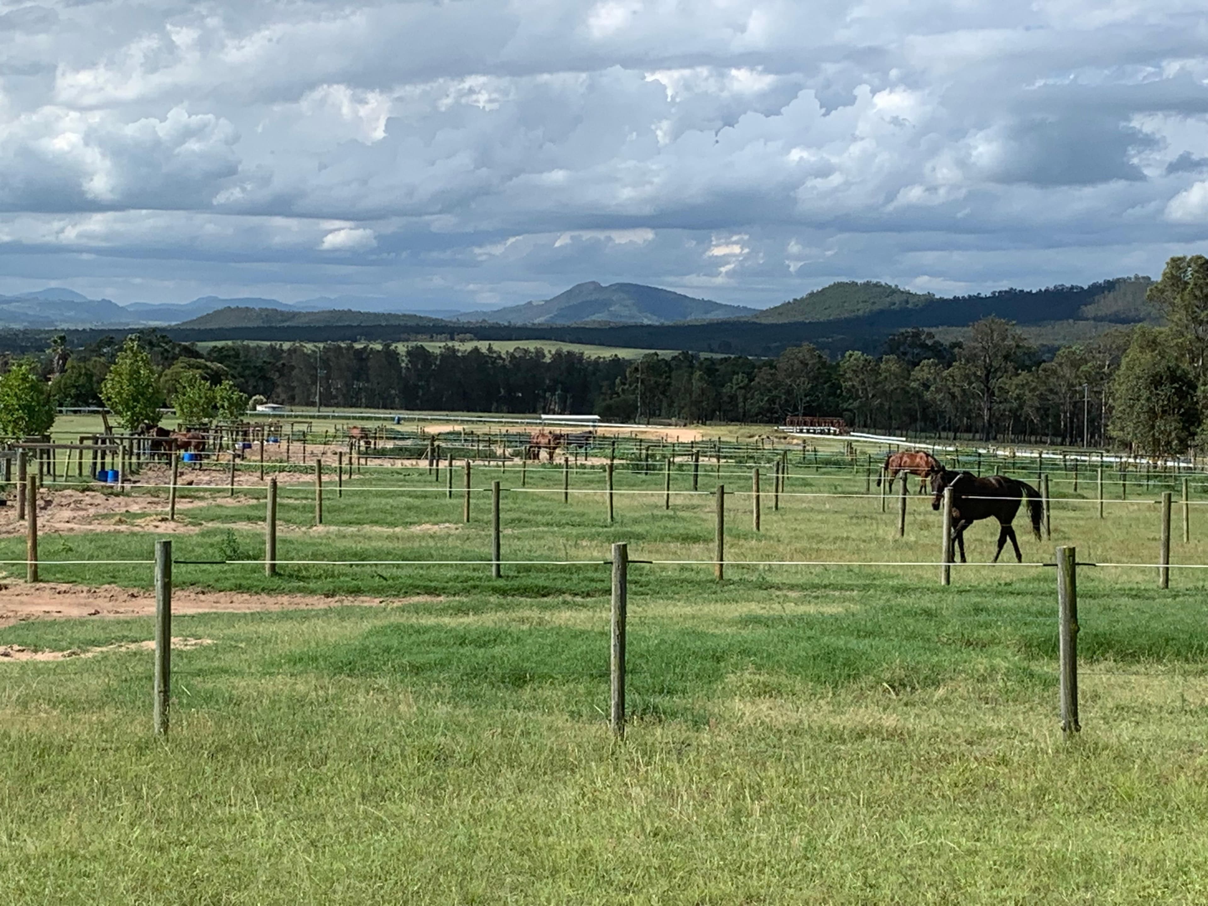 Picture of the author