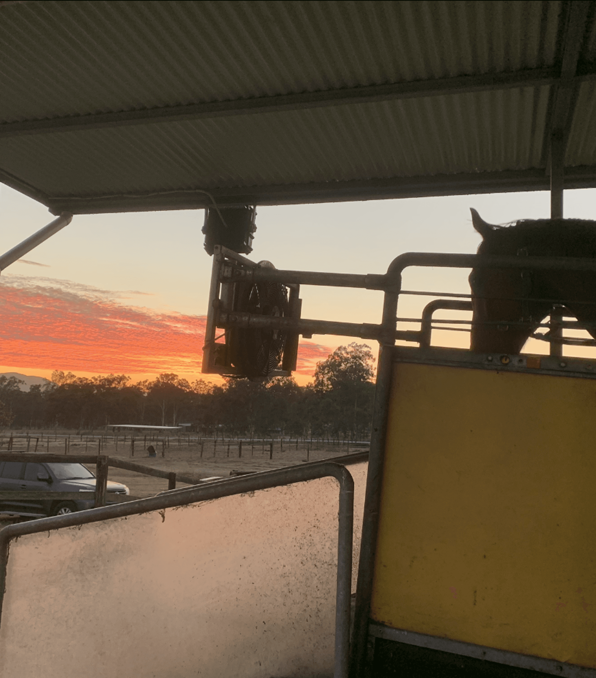 Picture of the author