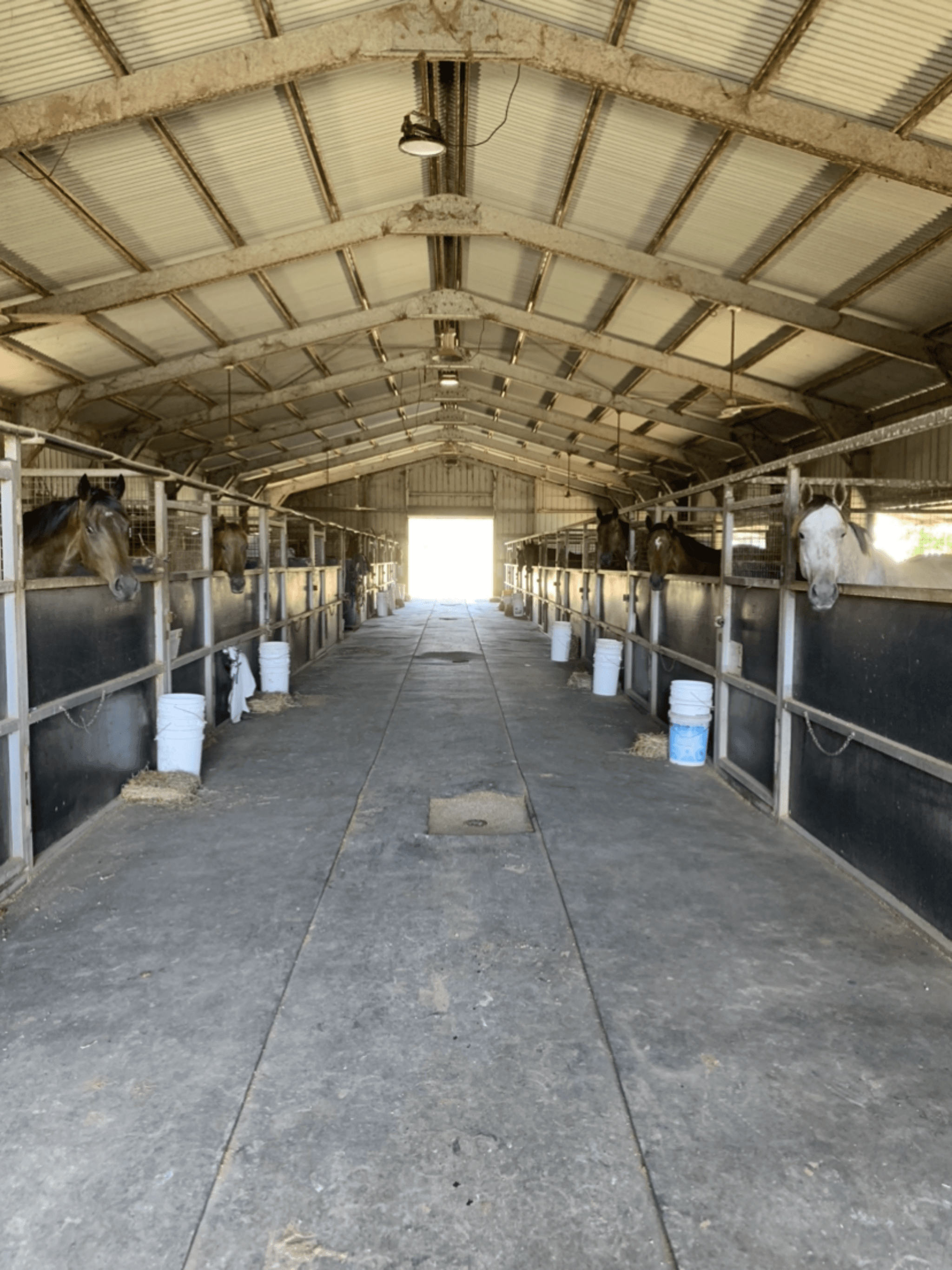 Picture of the author