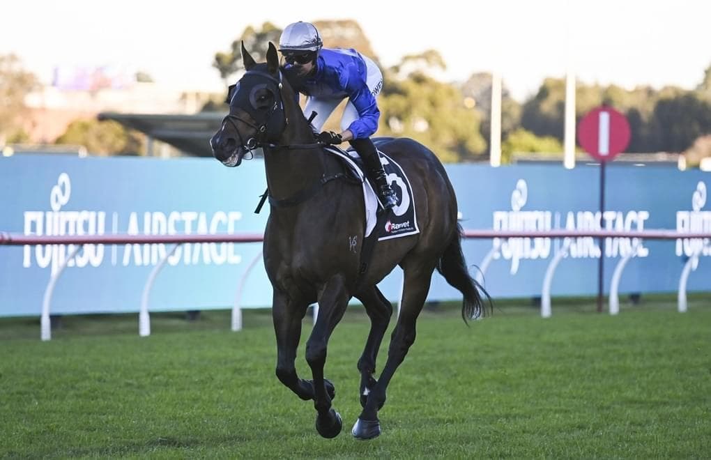 Picture of the author