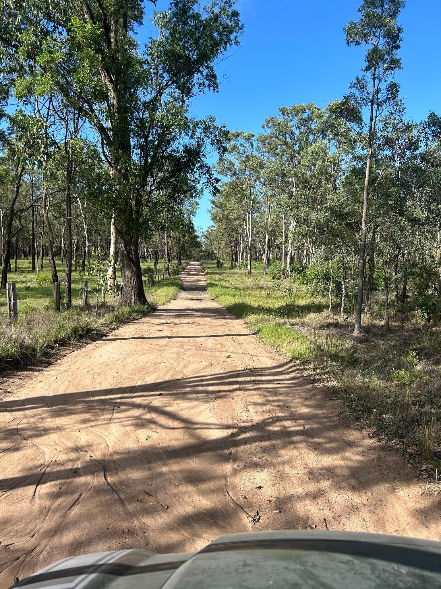 Picture of the author