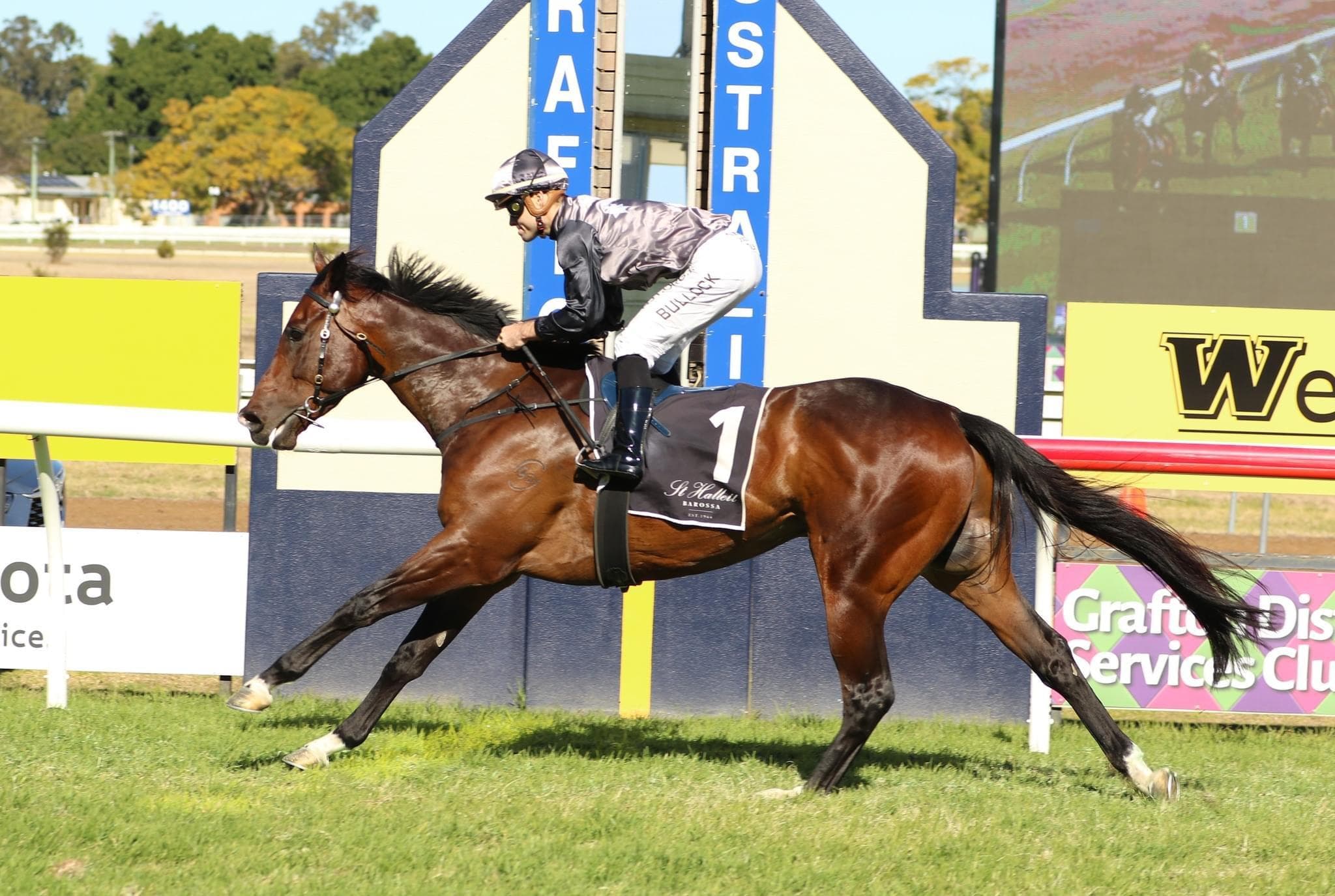 Picture of the author