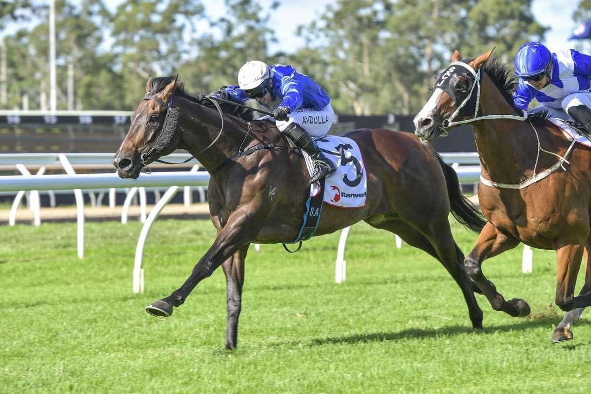 Picture of the author