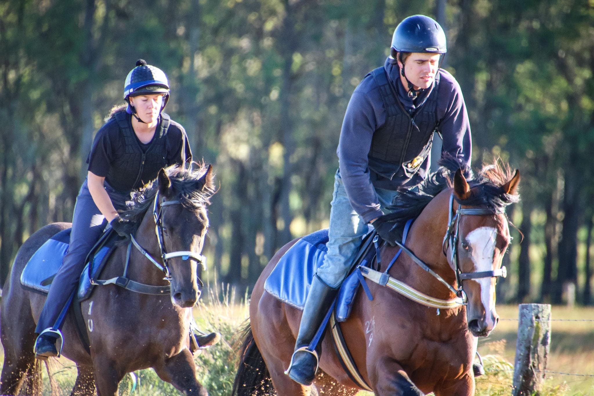 Picture of the author